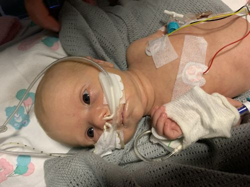 Caroline's Supernova Run for Crossbasket House