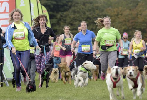Edinburgh Marathon Festival 2018